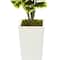 4ft. Variegated Rubber Leaf Tree In White Tower Vase